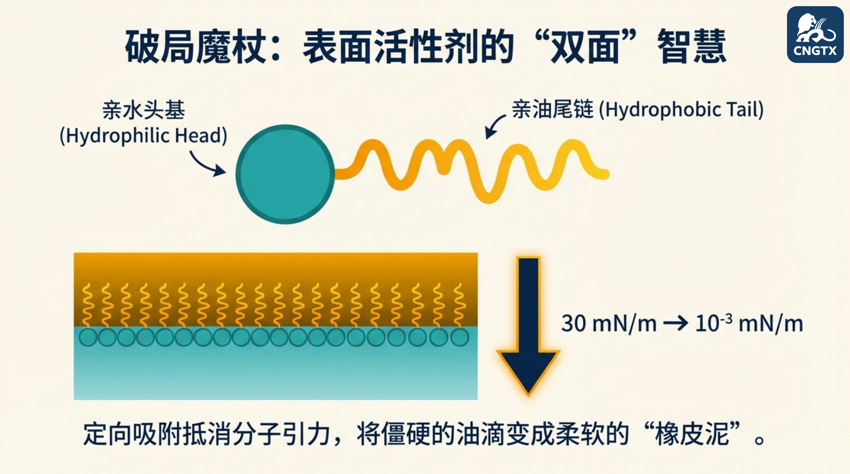 表面活性剂的双面智慧：定向吸附降低界面张力